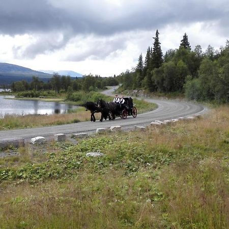 Bergfosshytta 1 Sor Ron Exterior foto